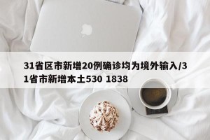 31省区市新增20例确诊均为境外输入/31省市新增本土530 1838