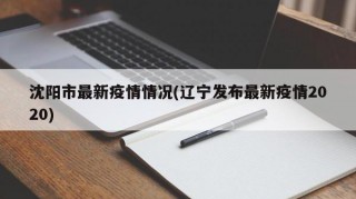 沈阳市最新疫情情况(辽宁发布最新疫情2020)