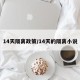 14天隔离政策/14天的隔离小说