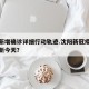沈阳新增确诊详细行动轨迹.沈阳新冠疫情情况最新今天？